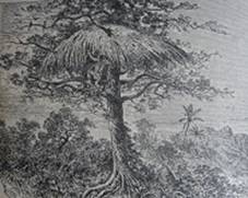 Une image contenant croquis, dessin, tissu, Gravure

Description générée automatiquement